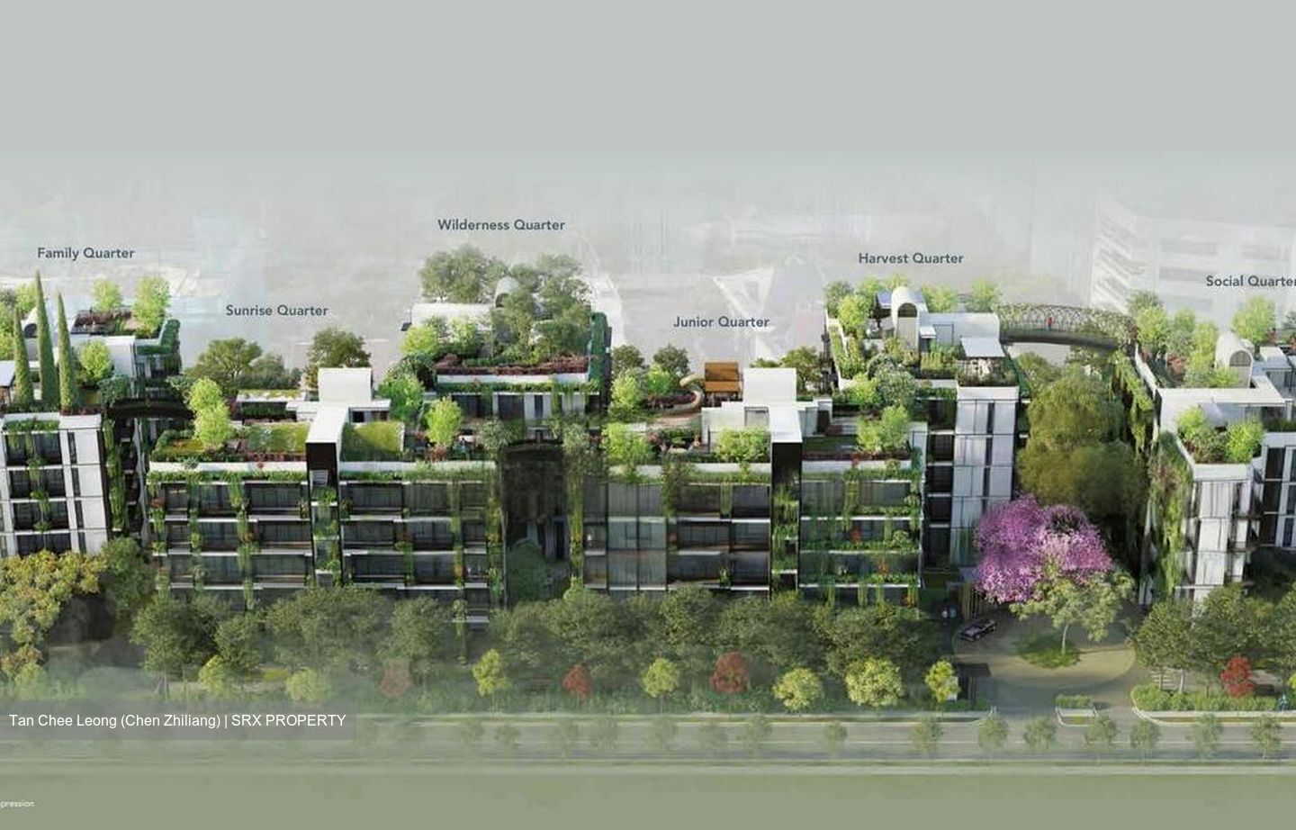 Jervois Road (D10), Condominium #457893531